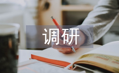品牌戰略調研