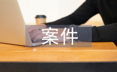 案件匯報(bào)材料