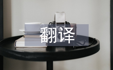 翻譯工作經(jīng)驗總結(jié)