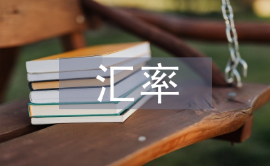 用金融衍生工具把控匯率風險策略