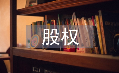 股權投資項目投后管理