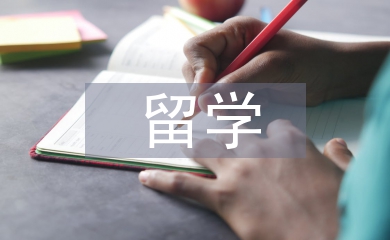 留學(xué)調(diào)查報告