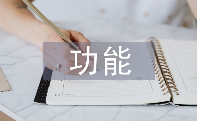 國有經濟功能