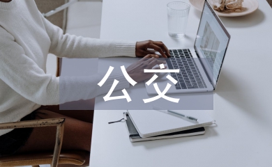 公交調查報告