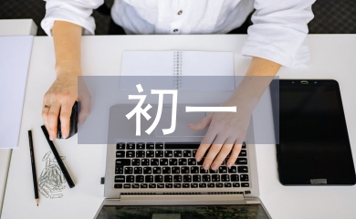 初一數學論文