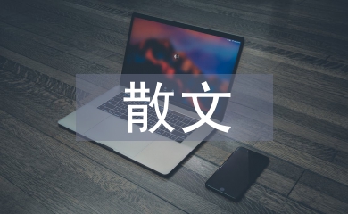 人生若只如初見散文