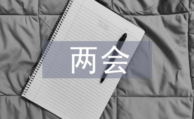 兩會論文