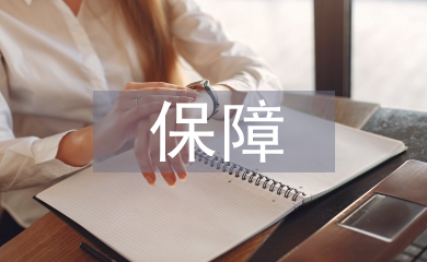 保障技術論文