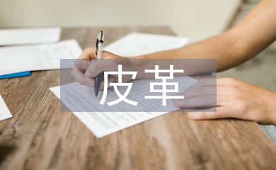 皮革在現(xiàn)代室內(nèi)設計中的應用