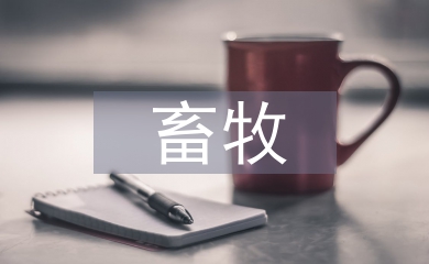 畜牧專業論文