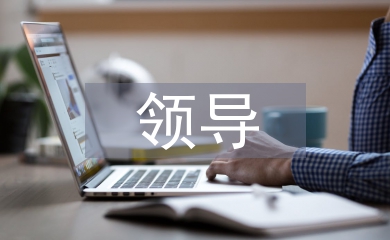 電力行業領導履職報告