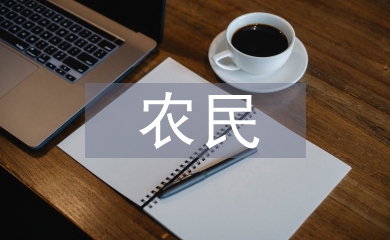 當代農民形象的演變