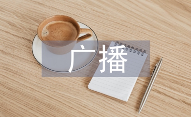 廣播電視新聞論文