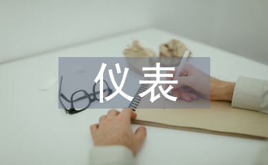 儀表培訓總結