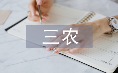 三農政策論文