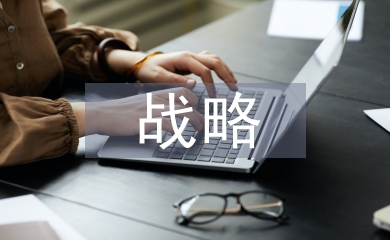 企業(yè)經(jīng)營(yíng)總體戰(zhàn)略
