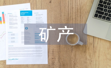 礦產資源法實施細則