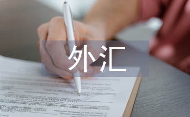 外匯市場風險的案例及分析