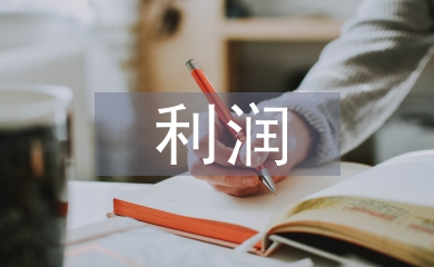 收入費(fèi)用利潤(rùn)實(shí)訓(xùn)總結(jié)