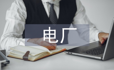 電廠實訓總結