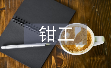 維修鉗工實(shí)習(xí)工作總結(jié)