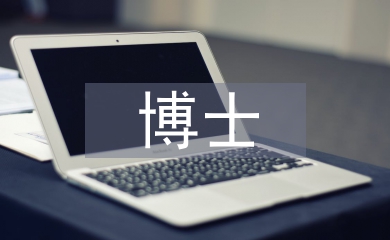 博士英語論文