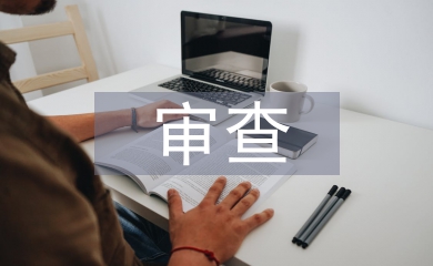 審查調(diào)查存在問(wèn)題