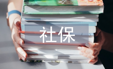社保年度總結