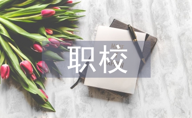 職校教師個人工作總結