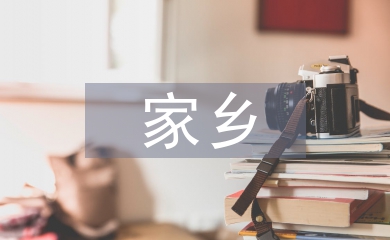 促進家鄉(xiāng)經(jīng)濟發(fā)展的建議