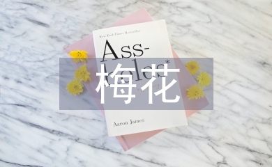 梅花教案