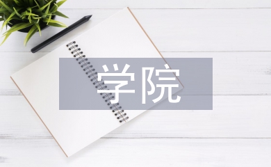 學院寒假社會實踐總結