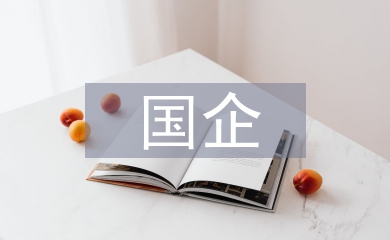 國企人力資源管理探究