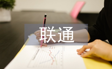 聯通公司工作經驗總結