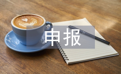 網上申報職稱論文