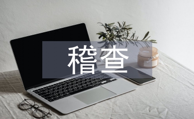稽查工作計劃