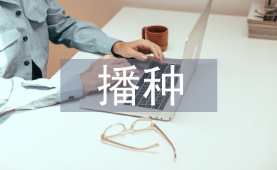 機械化播種技術發展現狀與展望