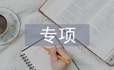 作風整治專項行動總結