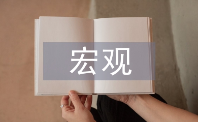 宏觀經濟管理論文