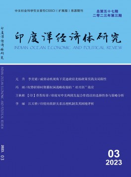 印度洋經濟體研究