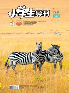小學(xué)生導(dǎo)刊·中年級